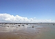 marée basse ile d'aix.jpg